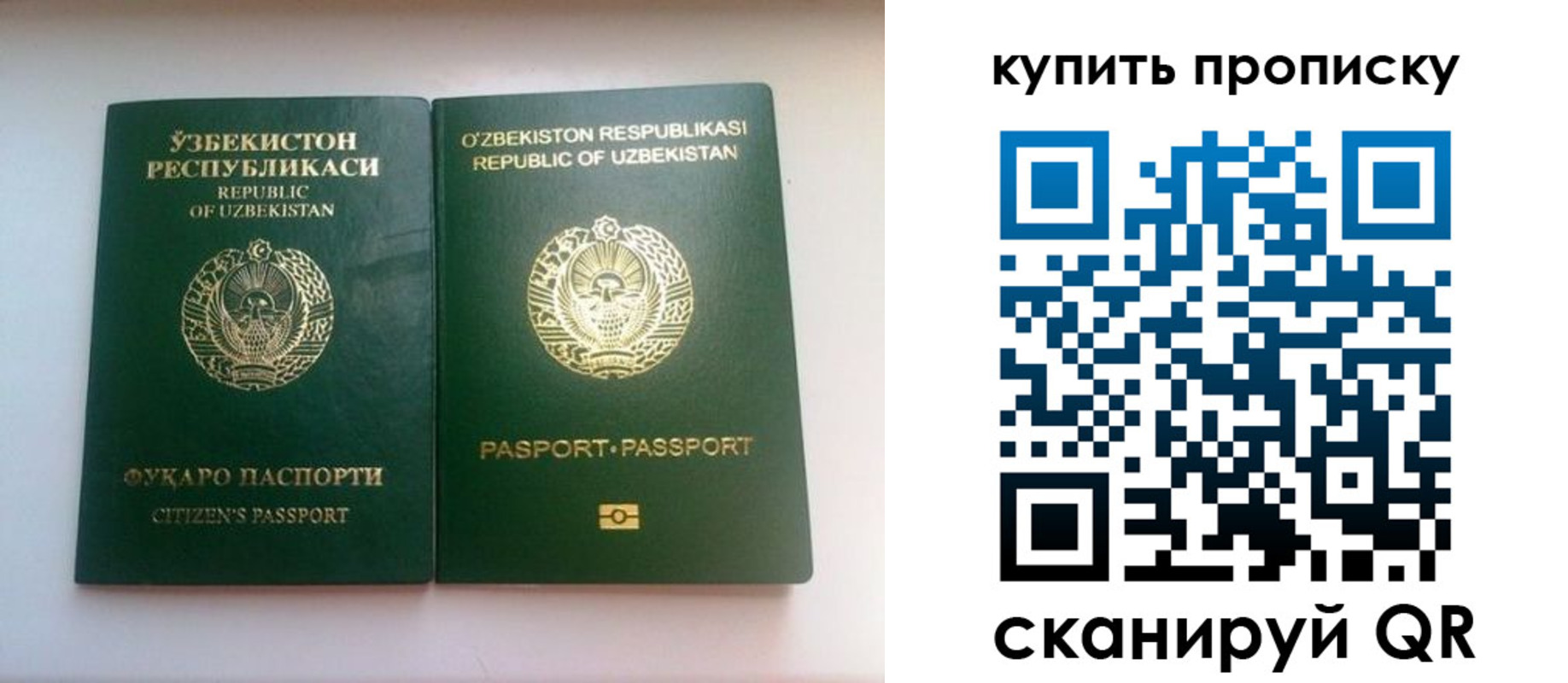 прописка в квартире в Волжске